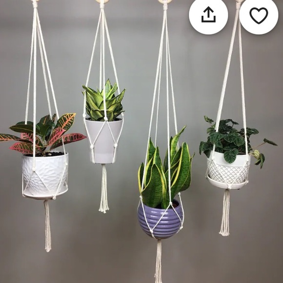 Minimalist Macrame Plant Hanger - 60” - Picture 2 of 6